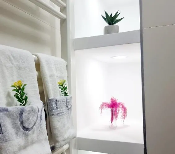 Lägenhet New Cozy *